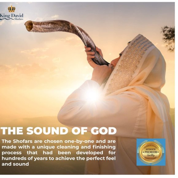 Sold to Aleph E Off Another Platform - Picture 3 of 5